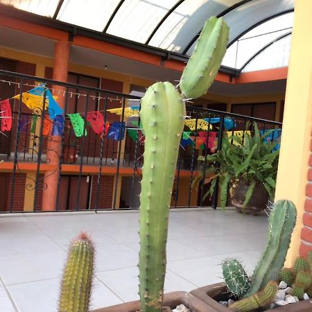 Hotel La Cascada Oaxaca Zewnętrze zdjęcie